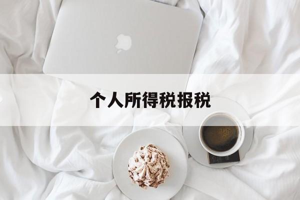 个人所得税报税(个人所得税报税app)